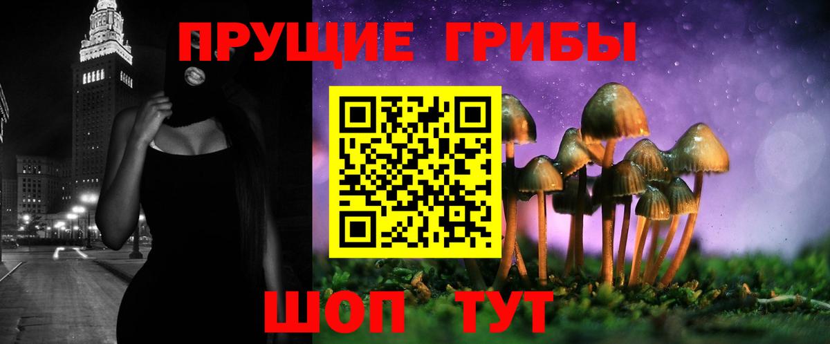 Псилоцибиновые грибы мицелий Киров