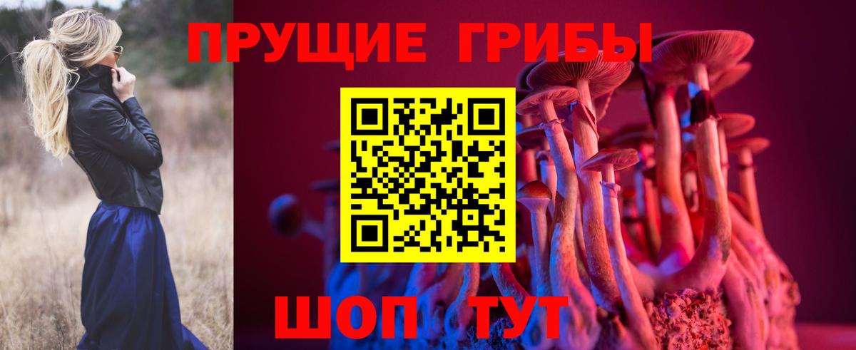 Киров  Галлюциногенные грибы MAGIC MUSHROOMS  Вход с VPN 